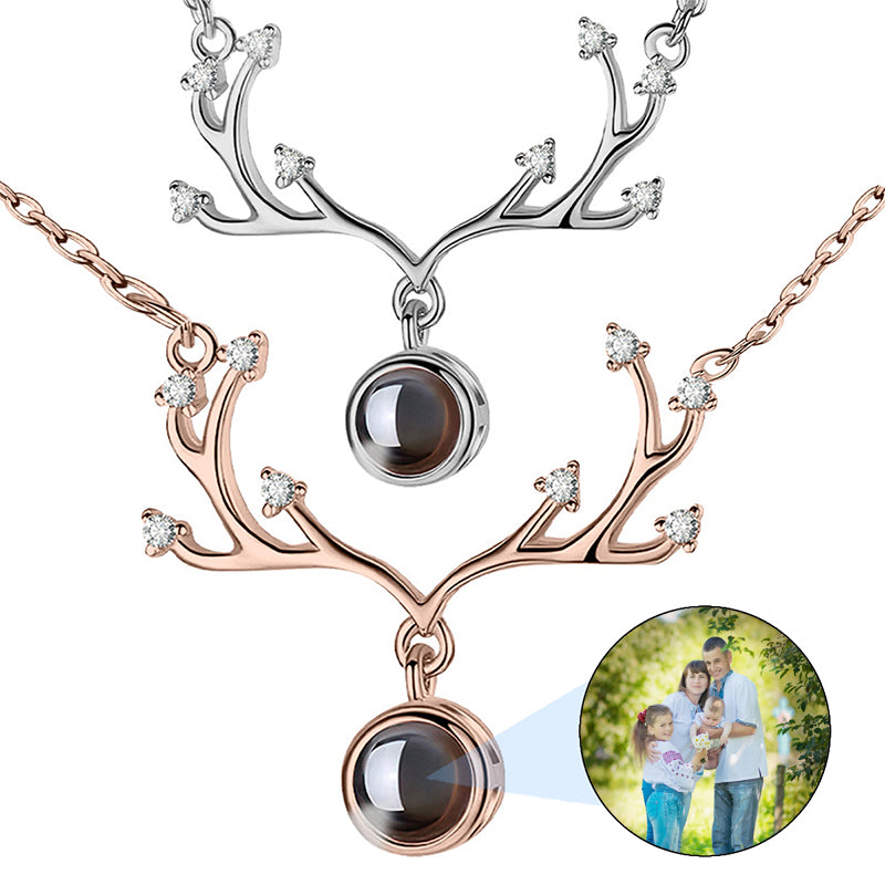 Personalized Ash Pendant, Urn Necklace, Engraving Photo/Name/Date/ Customized for Men Dog Cat Pet, Stainless Steel Ashes Memorial Keepsake